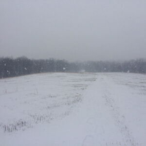 How Do We Get an Entrance Permit for Our Driveway? Image